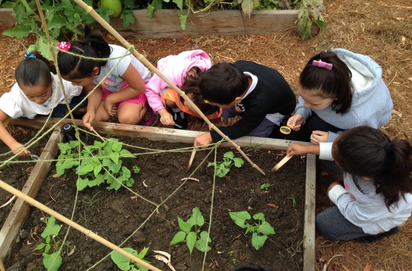 کلاس اول و دوم